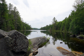 A calm, dark lake is surrounded by a dense, lush green forest under an overcast sky, with large...