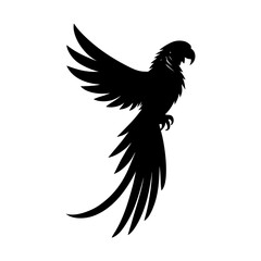 Obraz premium Parrot silhouette tropical bird exotic avian wildlife design