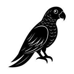 Obraz premium Exotic parrot illustration avian tropical bird silhouette art