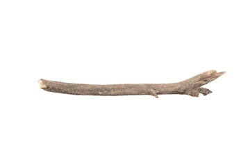 dry tree branches or wooden sticks for decoration or craft. Natural rustic element from a forest....