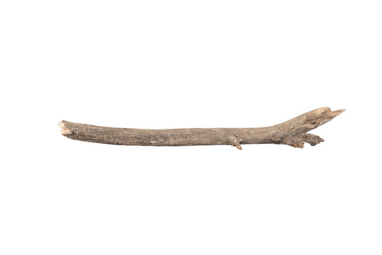 dry tree branches or wooden sticks for decoration or craft. Natural rustic element from a forest. isolated on white background with clipping path.