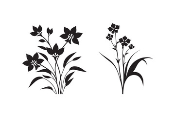 Elegant black silhouette of blooming flowers and leaves on white background