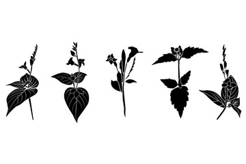 A collection of 5 wild grass silhouettes in botanical style. Perfect for nature-themed design, print templates, laser cut, and craft projects. Includes EPS10 file with scalable vector shapes.