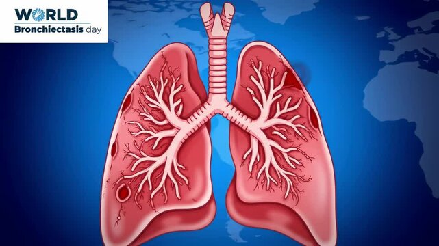 Illustration of human lungs
