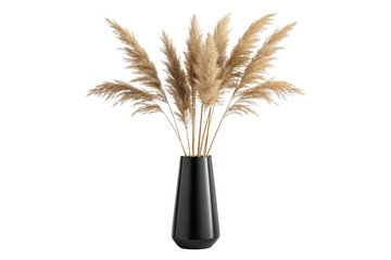 Elegant pampas grass arrangement in a black vase isolated on transparent background