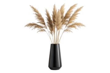 Elegant pampas grass arrangement in a black vase isolated on transparent background