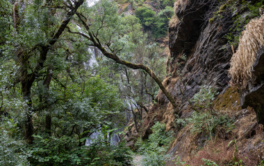 Fervenza do Toxa waterfall, a stunning 30m vertical drop in Silleda, Pontevedra, Galicia. Nature’s beauty captured in vibrant greenery and flowing water.
