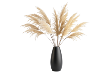 Elegant pampas grass arrangement in a modern black vase isolated on transparent background
