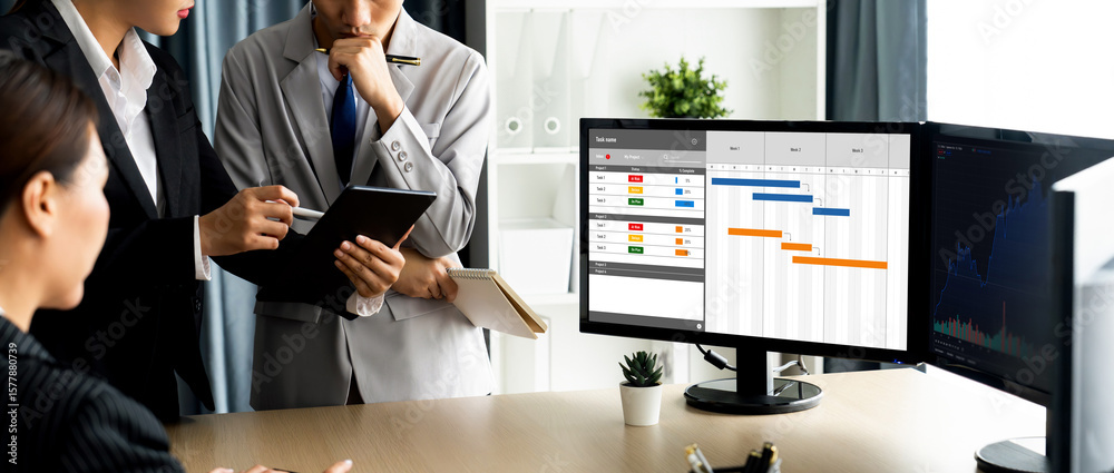 Poster project planning software for brisk business project management on the computer screen showing timel