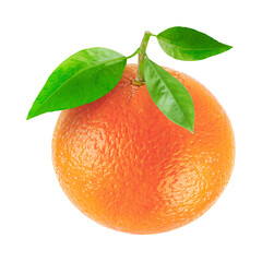 Realistic Ripe Orange Fruit with Green Leaves Isolated on White Background