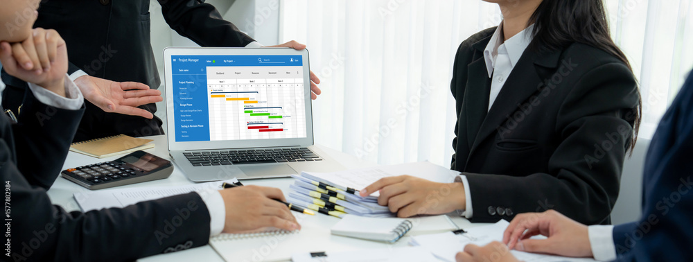 Poster project planning software for brisk business project management on the computer screen showing timel
