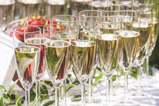 A row of elegant champagne flutes filled with sparkling wine, arranged for a celebration or formal event. The golden bubbles and bright reflections evoke a festive and luxurious atmosphere