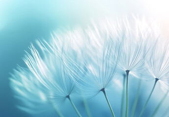 Elegant Dandelion Close-Up