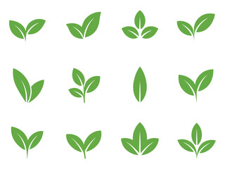 Collection of green tree leaf icon vector isolated on white background. eco environment leaves symbol