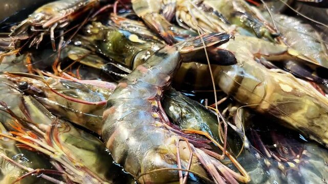 raw shrimp on the market