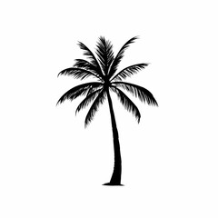 Obraz premium Palm Tree Vector Art with Black Silhouette Design