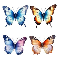 Colorful set of summer butterflies. Vector illustration isolated on white background