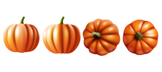 natural pumpkins top view and front view design isolated on the white background vector illustration.