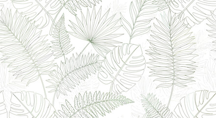 Delicate Line Art of Tropical Foliage Ferns Palms and Monstera Leaves.