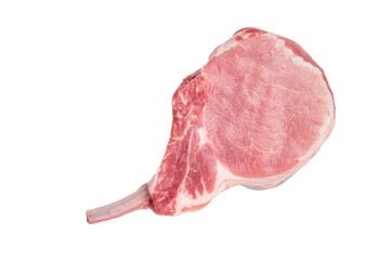 Fresh pork Chop Tomahawk steak, showcasing its impressive bone and marbled meat, perfect for...