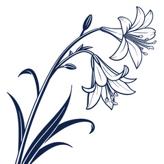 vector illustration of wand flower