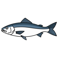 Vibrant Blue and White Fish Aquatic Animal Vector Illustration - Seafood Graphic