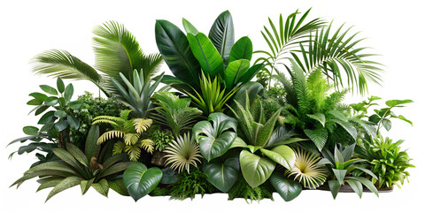 Photo of a vibrant collection of lush green tropical plants and leaves creates a dense, natural arrangement isolated on white isolated on transparent background © Sobuj