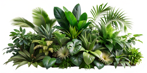Photo of a vibrant collection of lush green tropical plants and leaves creates a dense, natural arrangement isolated on white isolated on transparent background