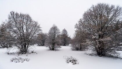 black snowflakes falling on a white background