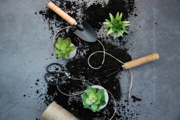 fresh herbs and spices