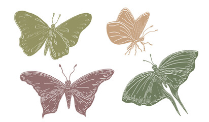 Butterfly Silhouette vector clipart hand drawn. Butterfly outlines set Monarch, Glasswing, Swallowtail in soft green and beige colors. Beautiful insects for nature journals, fabric, and scrapbooking.