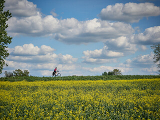 Ponidzie - Polska toskania. Wiosna na polach, rzepak. Kolorowe pola - szachownica.  © filozofgrecki