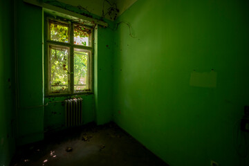Abandoned Historic Palace with Weathered Architecture and Atmospheric Decay