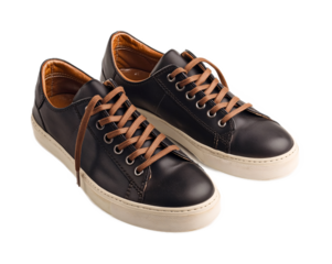 Casual Shoes for Everyday Comfort and Style - Isolated on White Background