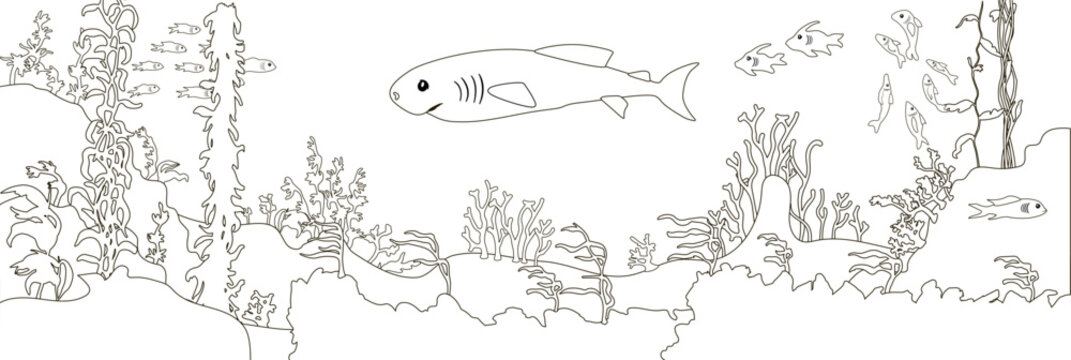 Pacific sleeper shark underwater wildlife. Black and white line art. Beautiful silhouette seascape at the ocean bottom with floral coral reefs, plants, rocks and fish. Vector illustration