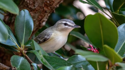 Small bird perched on a branch (1)