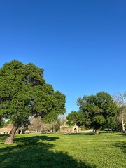 Obraz premium Summer view of a city park with old fortress gate and green trees