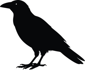 raven, crow bird silhouette vector symbol