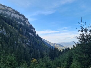 Rodnei Natural Reserve 