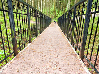 Scenic bridge path in tranquil forest inviting visitors for a leisurely stroll amidst nature's...