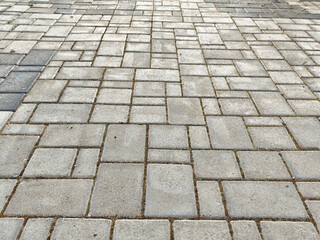 Textured pavers creating a cohesive pattern on a walking path in an outdoor setting during daylight hours