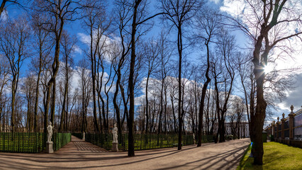 Sunlit alleys of Summer Garden: bare trees cast intricate shadows on gravel paths among historic...