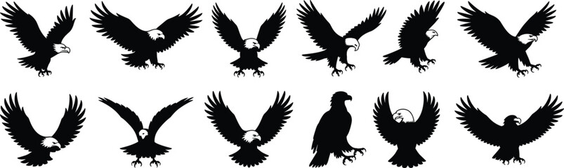 Eagle silhouette vector collection, majestic bird in flight poses, wildlife raptor illustration, nature predator clipart, soaring freedom artwork