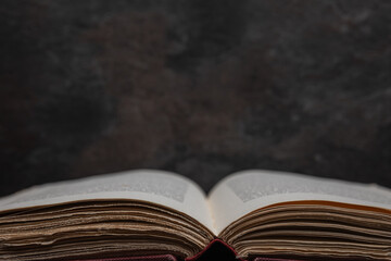 Symmetrical view of open antique book with deckled edges at bottom edge. The rest of the frame...