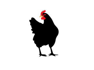 chicken vector icon on white background. chicken silhouette vector icon design.hen, rooster and chicks isolated farm animal silhouette icon vector collection.