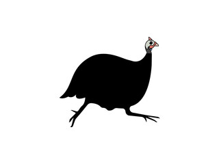 guinea hen vector illustration, guinea fowl head icon line art vector illustration on transparent background.