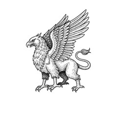 Majestic Griffin Creature, drawn in an engraved, woodcut style with fine details sketch engraving vector illustration. Scratch board imitation.
