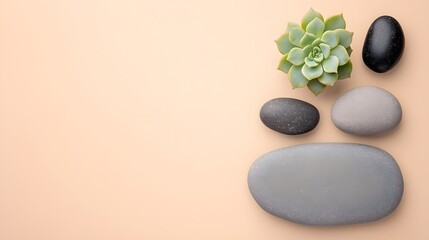 Spa Stones and Succulent Plant Minimalist Composition