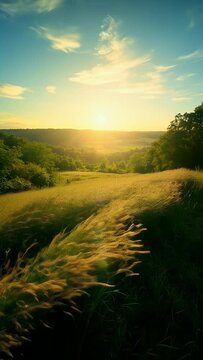 Golden Sunset Over Grassy Hills and Forest