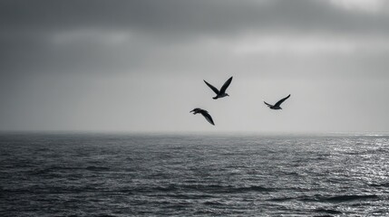 Fototapeta premium Three birds in flight over a gray sea